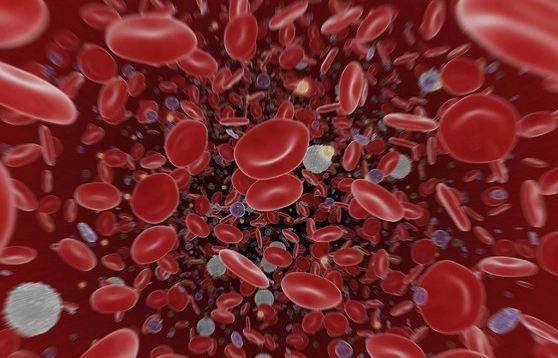 Vitamina C induz a morte de células que causam câncer no sangue